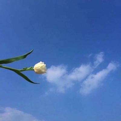 龙之暗堡手机游戏最新版下载