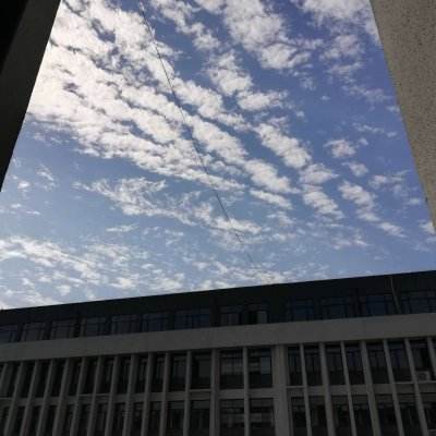失落的守护者远征内购版下载